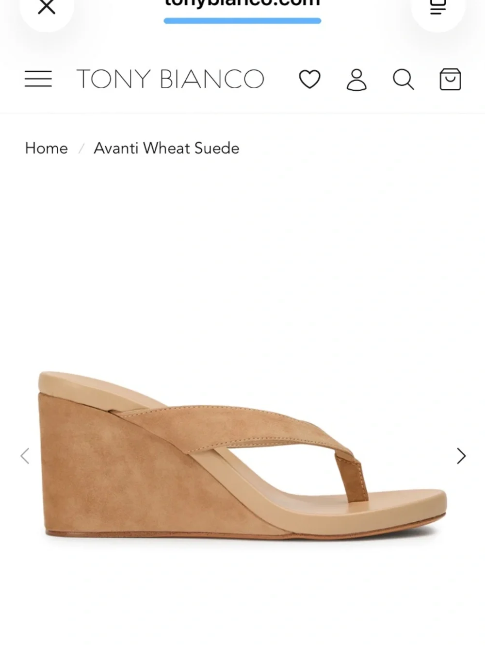 Avanti Wheat Suede - Wheat Suede / 7